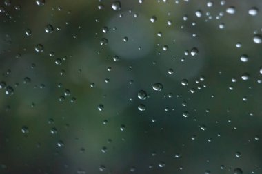 Pencereye yağmur damlaları, yeşil arkaplan