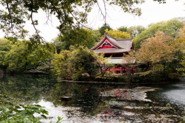 Tokyo 'da sonbahar döneminde Inokashira Park Benzaiten Tapınağı' nın yatay resmi