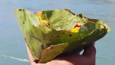Kutsal nehir çetelerine bu sabah 15 Mar 2022 'de Haridwar uttrakhand Hindistan' dan alınmıştır..