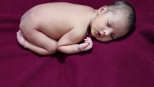 Nyfödd Baby Ligger Röd Sammet Trasa Med Söt Ansiktsuttryck Från — Stockvideo
