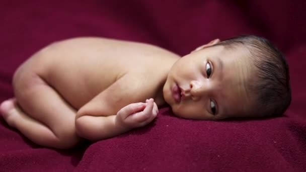 Recém Nascido Bebê Deitado Pano Veludo Vermelho Com Expressão Facial — Vídeo de Stock