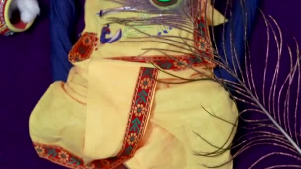 Bebé Recién Nacido Krishna Vestido Con Accesorios Desde Una Perspectiva — Vídeo de stock