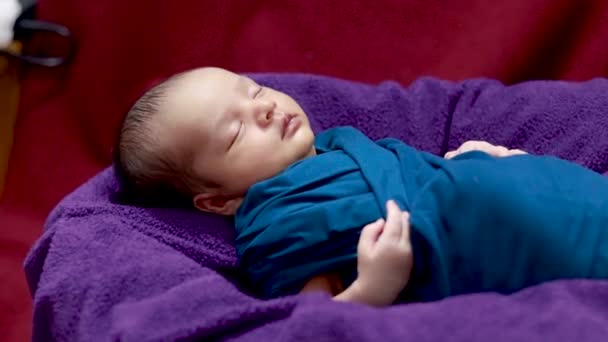 可爱的新生婴儿睡在婴儿用品包顶角拍摄 — 图库视频影像