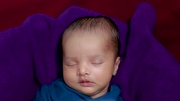 Noworodek Trzymający Ręku Kopię Usg Śpiący Owinąć Niemowlę — Wideo stockowe