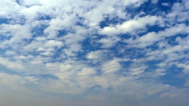 Δραματικά Φωτεινό Γαλάζιο Ουρανό Γεμάτο Λευκό Σύννεφο Βράδυ — Αρχείο Βίντεο