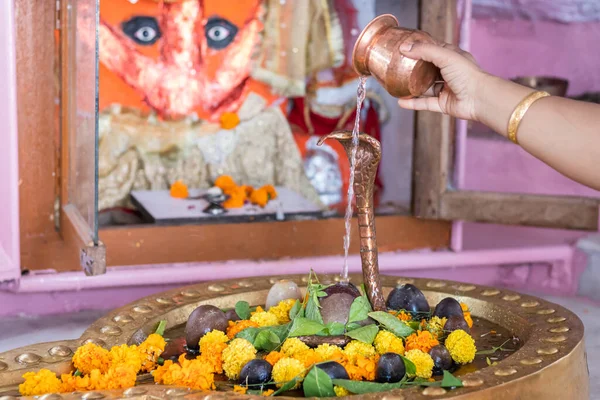 Жінка Приносить Святу Воду Індуїстському Богу Шівалінга Поклоняється Квітковому Дзвіниковому — стокове фото