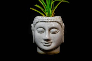 mindfulness eco-friendly buddha statue isolated with black background from different angle