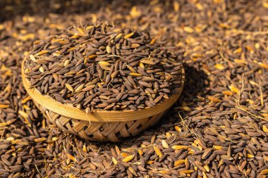 Siyah çeltik pirinç tohumları bambu kasesinde gündüz üst açıdan