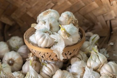 Bambu kasesindeki çiftlikten taze sarımsak.