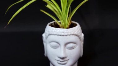 mindfulness eco-friendly buddha statue isolated with black background from different angle