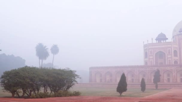 Хумаюн Гробница Туманное Утро Уникальной Перспективы Выстрел Сделан Дели Индии — стоковое видео