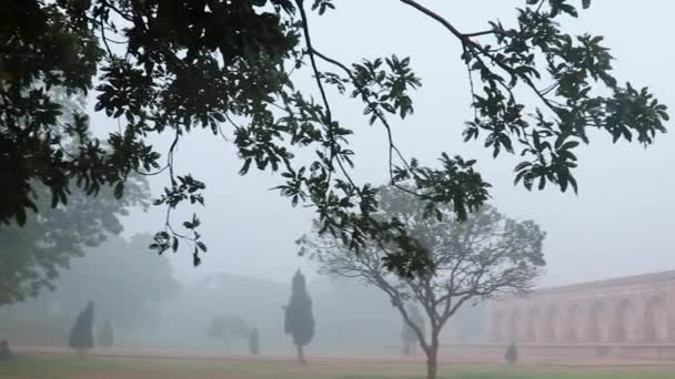 Humayun Sír Ködös Reggelen Egyedi Nézőpontból Felvétel Készül Delhi Indiában — Stock videók