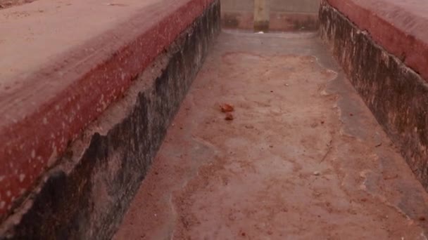 Makam Humayun Pagi Berkabut Dari Tembakan Perspektif Yang Unik Diambil — Stok Video