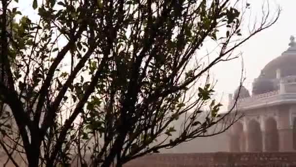 Nila Gumbad Του Τάφου Humayun Εξωτερική Άποψη Ομιχλώδη Πρωί Από — Αρχείο Βίντεο