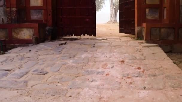 Humayun Grab Eingangstor Blick Nebligen Morgen Aus Einzigartiger Perspektive — Stockvideo