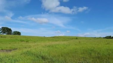 Dağ, sabah mavi gökyüzü ile yeşil çimlerle kaplıdır.