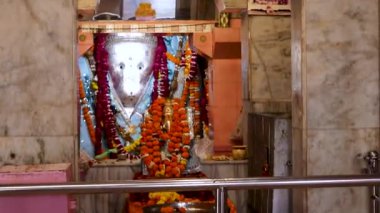 Hindu tanrı ganesha idolü çiçeklere tapıyor düz açılı video Ganesh tapınağı Ranada jodhpur rajasthan Hindistan 'da çekiliyor..