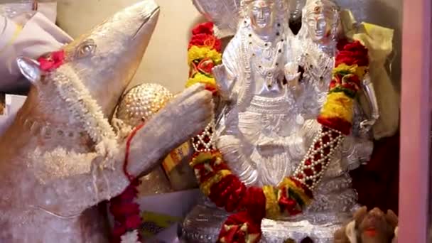 Hindu Gott Shiva Idol Angebetet Mit Blumen Erschossen Aus Flachem — Stockvideo