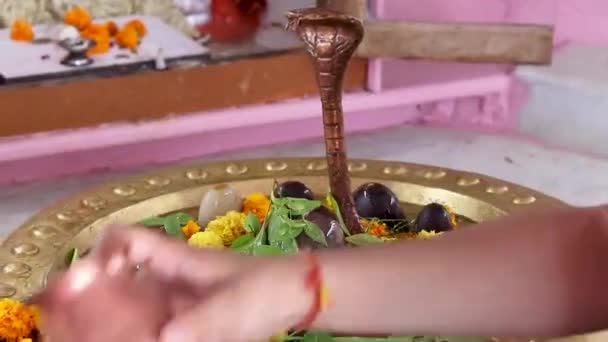 Hinduistický Bůh Šiva Idol Uctíván Květinami Chrámu Plochého Úhlu — Stock video