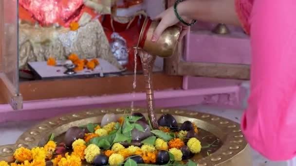 Devotee Prying Lord Shiva Temple Flat Angle — Stock Video