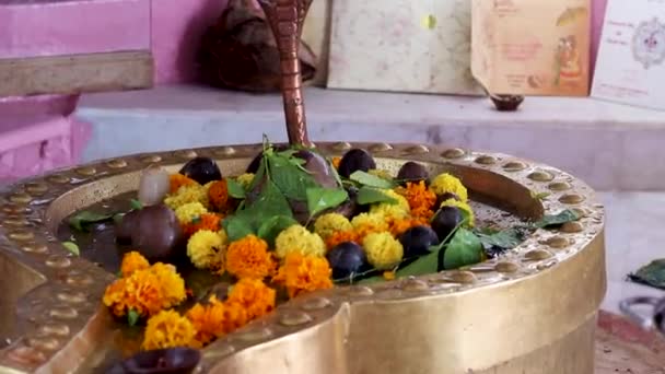 Devoto Curioso Senhor Shiva Templo Ângulo Chato — Vídeo de Stock