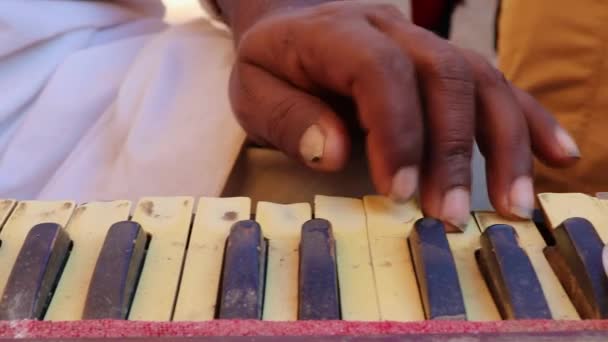 2023年1月25日 当地艺术家在黄石公园的Rajasthan印度公园拍摄了不同角度的芦苇风琴合奏 — 图库视频影像