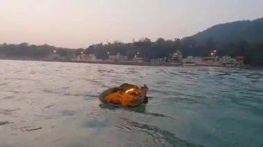 Kutsal nehir çetelerine bu sabah 15 Mar 2022 'de Haridwar uttrakhand Hindistan' dan alınmıştır..