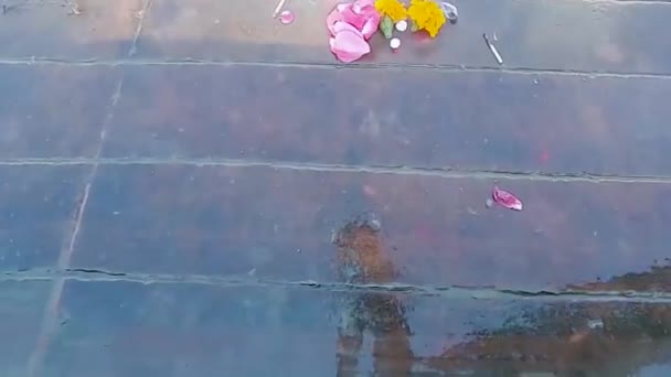 Devotee Bietet Blumen Für Spirituelle Fluss Ganga Morgen Video Wird — Stockvideo