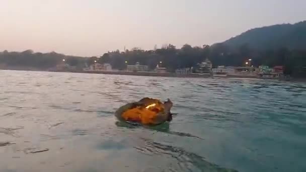 Kutsal Nehir Çetelerine Sabah Mar 2022 Haridwar Uttrakhand Hindistan Dan — Stok video