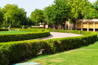 Düz açıyla yeşil çimen parkı