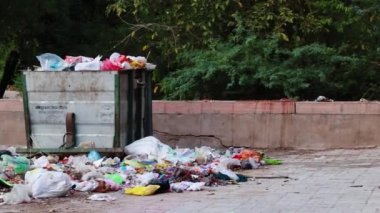 Jodhpur Rajasthan Hindistan 'da 5 Mayıs 2023 