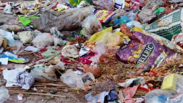 Basura Residuos Artículos Plástico Mendiga Litro Abierto Día Desde Diverso — Vídeos de Stock