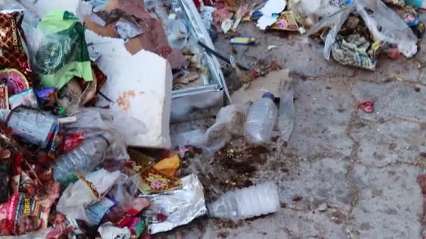 Απορρίμματα Απορριμμάτων Και Πλαστικά Ικετεύει Λίτρο Ανοικτή Την Ημέρα Από — Αρχείο Βίντεο