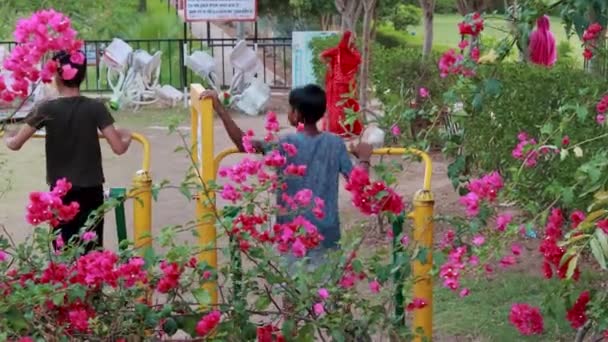 Kids Hebben Plezier Swing Tuin Avond Video Genomen Jodhpur Rajasthan — Stockvideo