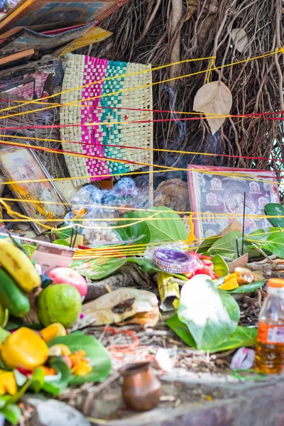 Священные Вещи Хранятся Индуистского Религиозного Поклонения Баньян Дерево Vat Savitri — стоковое фото