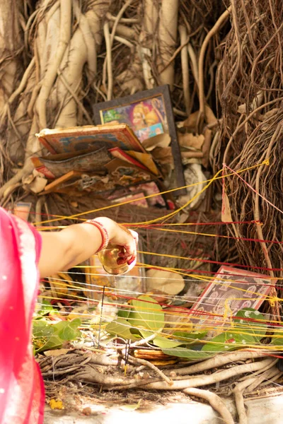 Femmes Priant Pour Culte Religieux Hindou Arbre Banyan Sur Cuve — Photo