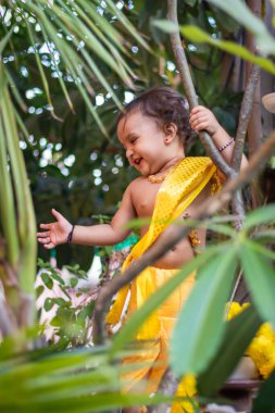 Hindu tanrısı Krishna gibi giyinmiş sevimli bebek Janmashtami 'deki ağaçta oynayan sevimli yüz ifadesi.