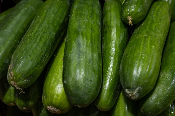 fresh cucumber at vegetable store for sale at evening