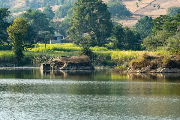 İzole edilmiş göl kenarı tarım manzarası sabah düz açıyla