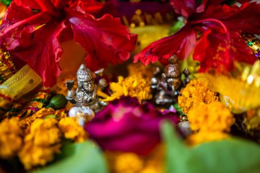 Gece Durga Pooja Festivali 'nde çiçeklerle farklı açılardan Hindu Tanrısına ibadet etmek.