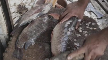 Perakende dükkanında taze balık kesimi gündüz farklı açılardan satılıyor.