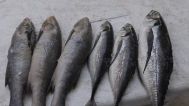 Taze balıklar, perakendecideki kar kutusunda farklı açılardan satılık tutuluyor.