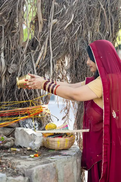 stock image devotee worshiping the holy banyan tree with offerings at day on the occasion of Banyan tree worship festival, (Vat Savitri Puja) India.