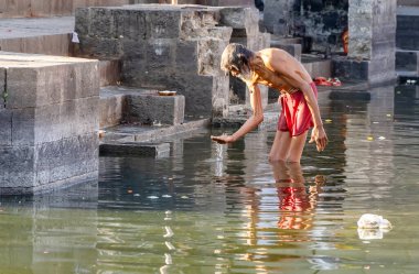 hindu devotee old man bathing at pristine holy Shipra river at morning from flat angle image is taken at shipra river ujjain madhya pradesh india on Mar 09 2024. clipart