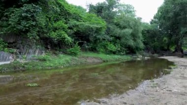 Sakin Yağmur Ormanları Sahnesi Sakin Nehir Suyu ve Sabahları Yoğun Yeşillik