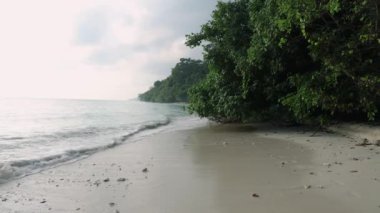 Beyaz kumlu izole deniz plajı ve sabah düz açıyla yeşil ağacı var.