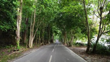 Kala Pathar Sahili Andaman ve Nicobar Adaları 'nda sabah yemyeşil ormanlara giden izole asfalt yol düz açılı videodan çekiliyor..