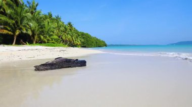Andaman ve Nicobar Adaları 'ndaki Havelock Adası' ndaki Radhanagar Sahili 'nde el değmemiş, el değmemiş, beyaz kumsal dalgaları ve parlak mavi gökyüzü videosu çekilmiştir..