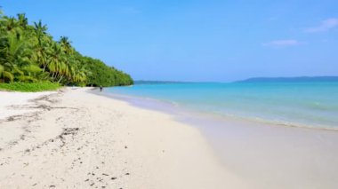 Andaman ve Nicobar Adaları 'ndaki Havelock Adası' ndaki Radhanagar Sahili 'nde kayan dalgalarla el değmemiş beyaz kumsal ve parlak mavi gökyüzü videosu çekilmiştir..