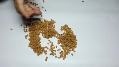 Bebek, palmiye ağacında taze çiğ çemen tohumlarına dokunuyor.